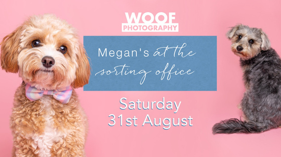Pop-up dog photography event at Megan’s at the sorting office Islington Square.  Part of the Saturday Market with Woof About and Urban Food Fest.  Book a session. Dog-friendly venue. woof photography London dog photographer 