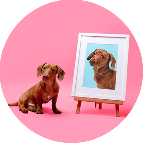 Billie the Jack Russel terrier X Dachshund posing with his custom pet portrait by Woof Portraits.  He is advertising the Platinum package with Woof Photography that includes a framed photographic fine art giclée print and illustration.  