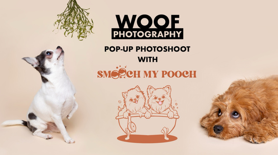 Luxury dog grooming salon and pamper parlour in Battersea Smooch My Pooch hosts Woof Photography for a Christmas Pop-up Photoshoot Jonny the London Dog photographer professional pet photography in studio setting with statement backdrop and festive theme. 