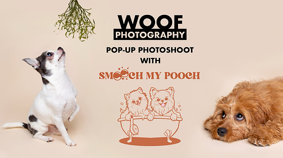 Luxury dog grooming salon and pamper parlour in Battersea Smooch My Pooch hosts Woof Photography for a Christmas Pop-up Photoshoot Jonny the London Dog photographer professional pet photography in studio setting with statement backdrop and festive theme. 