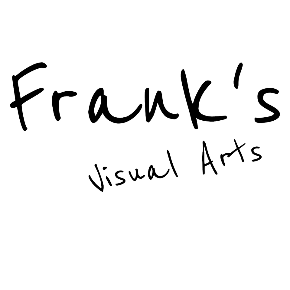  visual artist