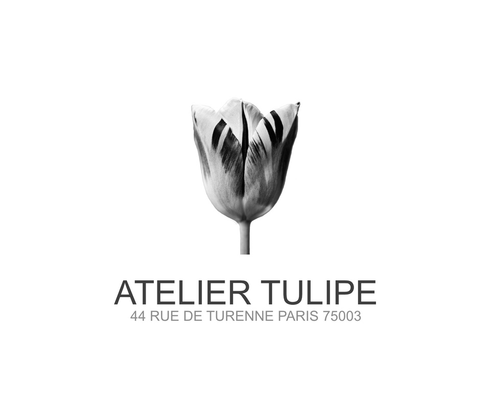 ATELIER TULIPE 