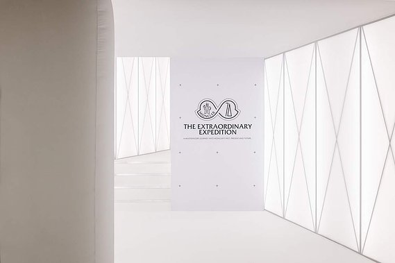 exhibition logo and statement set on a white wall.