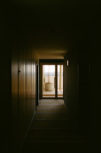 corridor, dark, window, balcony, plants, habiter le ciel, architecture, castro denissof, aubervilliers, carpets