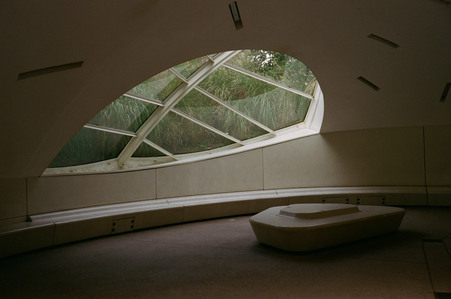dim light, window, leaf, plants, green, empty, curved bench, architecture