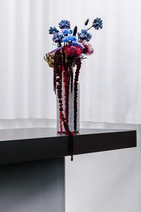 concrete vase with blue flowers on a black gradient wooden desk in front of a white curtain.