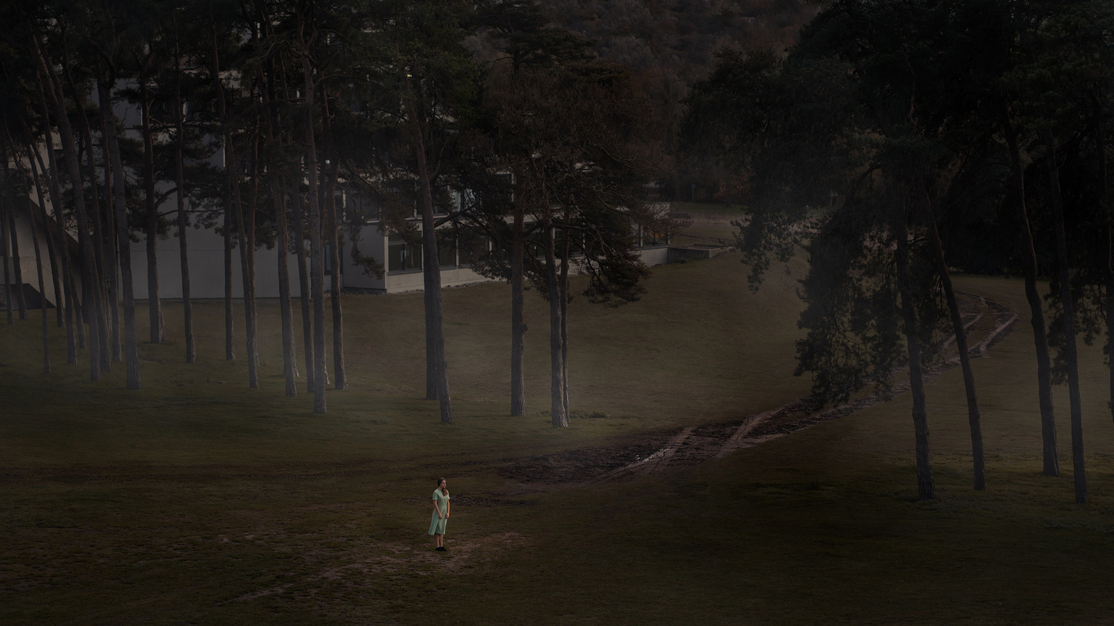 a cinematic and dramatic advertising photograph of a woman standing alone at twilight surrounded by tall trees within the grounds of the University of East Anglia. 