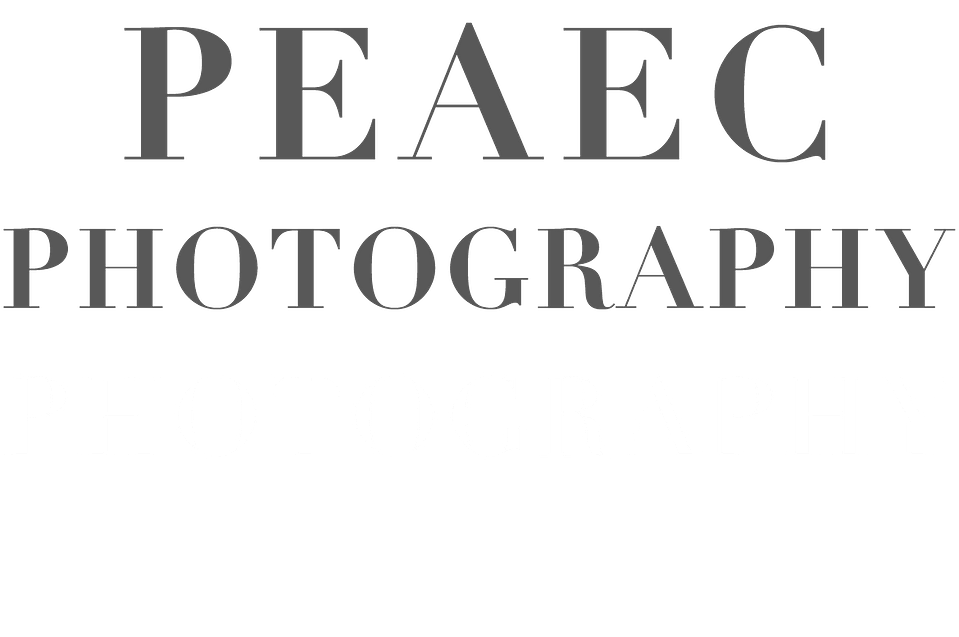 Peaec Photography's Portfolio