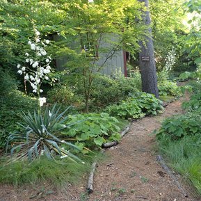 Woodland Garden Design