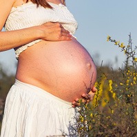 fotografía de barriga de embarazada  de 38 semanas, en los campos floridos de Pla de l'Estany, en girona, españa.