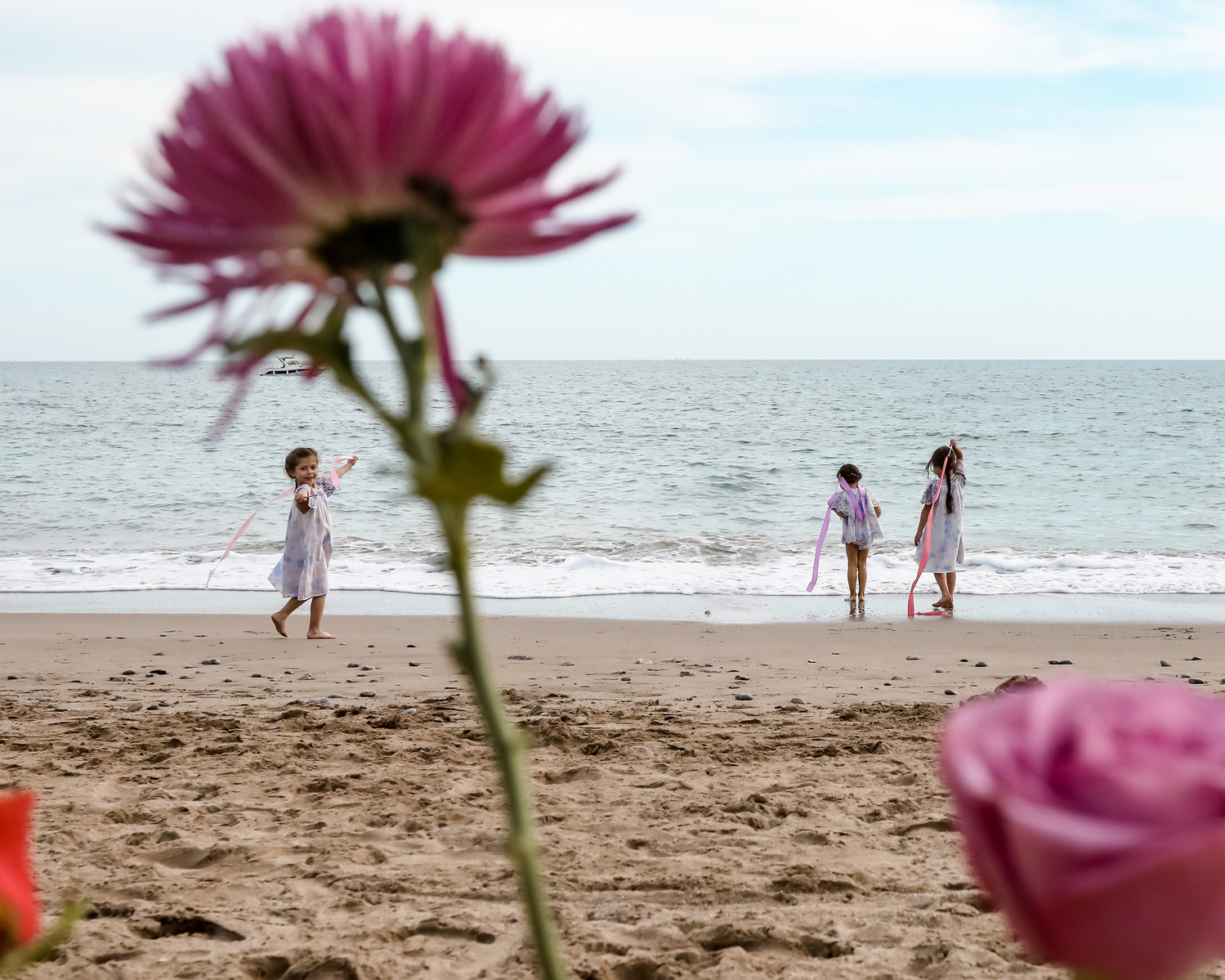 tres niñas jugando cerca del mar enmarcadas por na flores en el primer plano en la playa las casetas del Garraf en barcelona, españa
