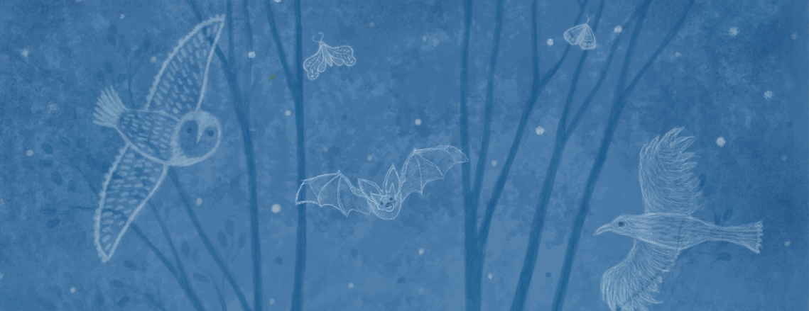 A ghostly owl, bat, and crow fly through a starry summer night