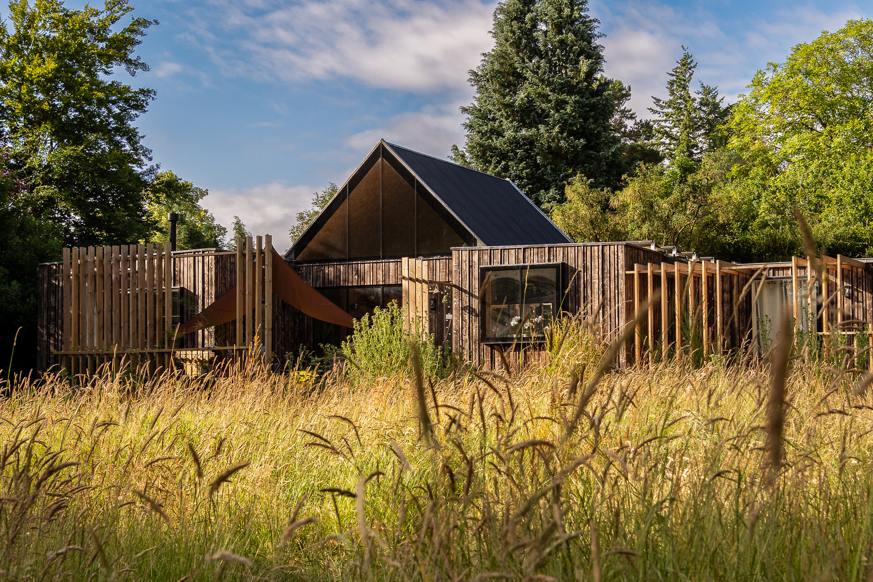 Wildhaven house, wood cladded SIP's built 5 bedroom house surrounded by re-wilding land.