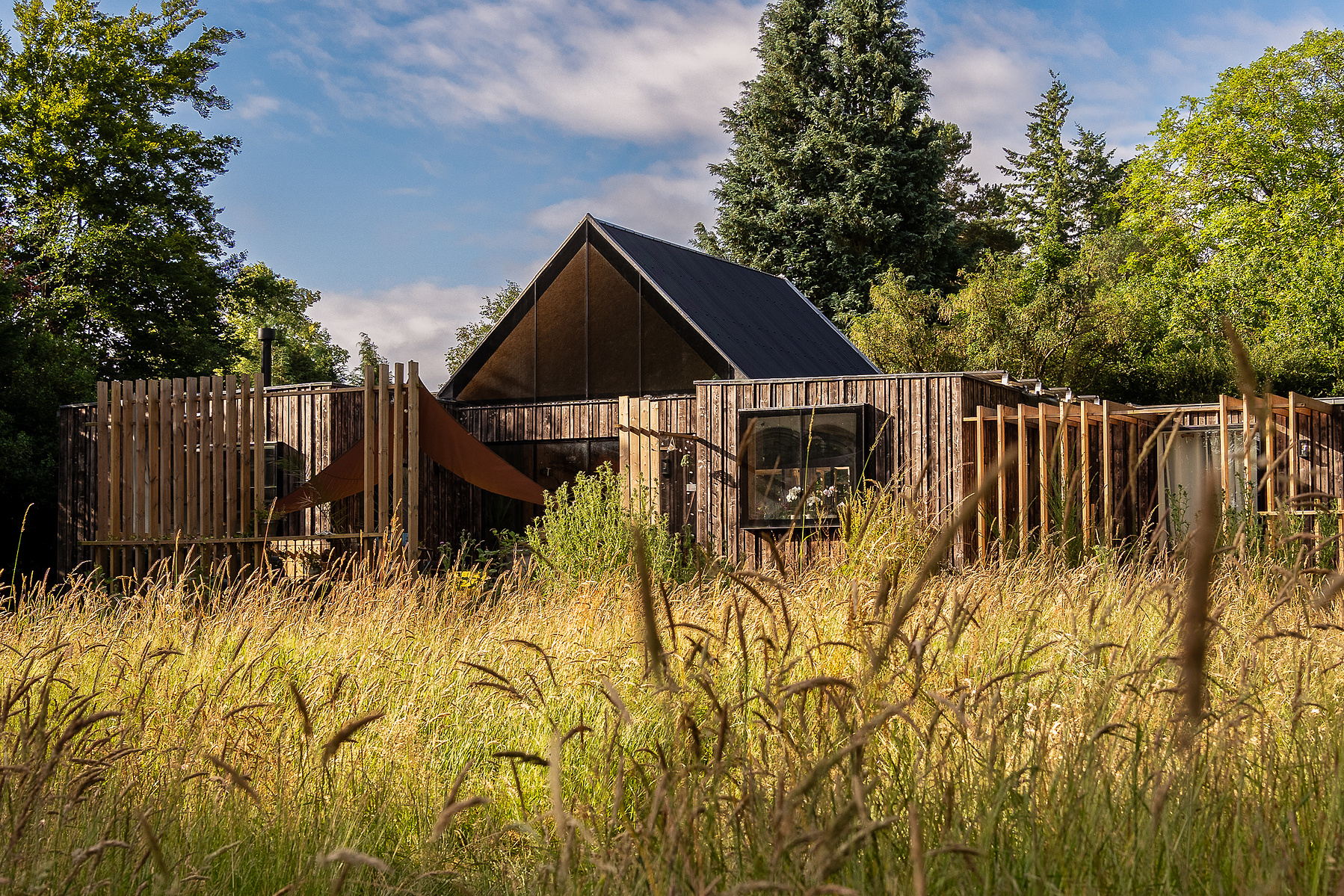 Wildhaven house, wood cladded SIP's built 5 bedroom house surrounded by re-wilding land.