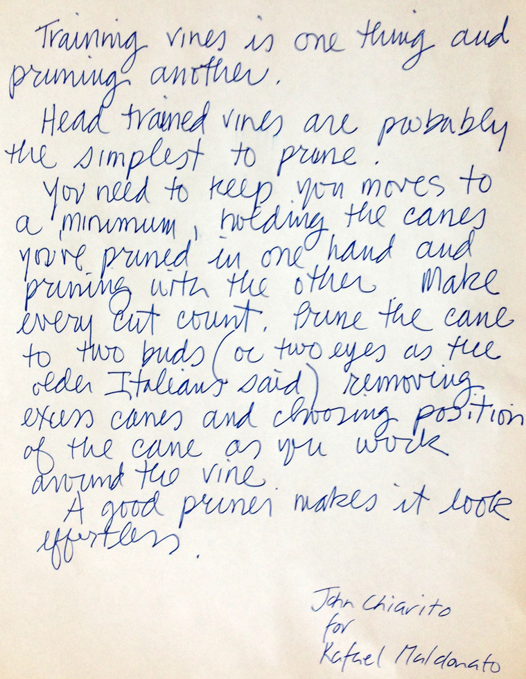 excerpt from the FRIENDS FOOD LAND book