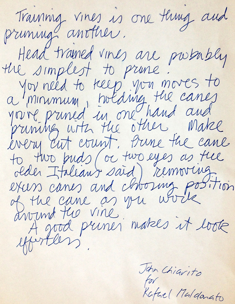 excerpt from the FRIENDS FOOD LAND book