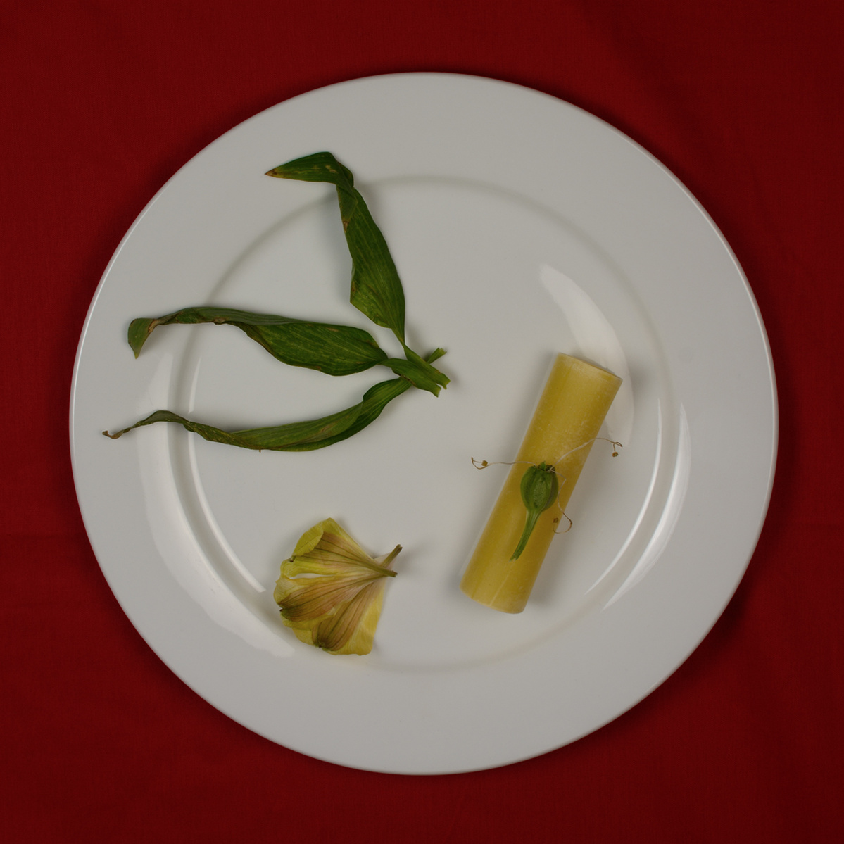 colour photograph of dried pasta and lilies