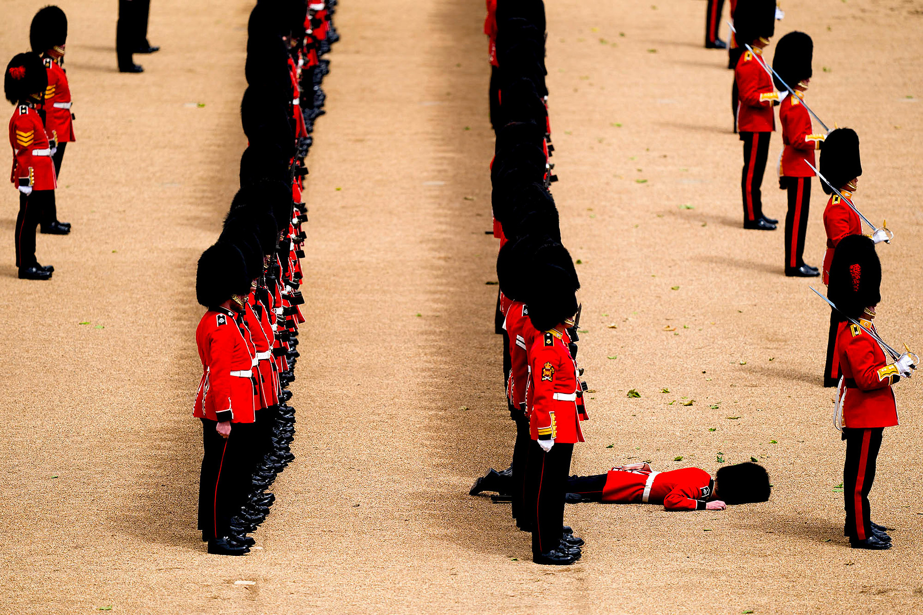 A member of the Coldstream Guards falls to the ground during the Brigade Major's Review at Horse Guards Parade, London.