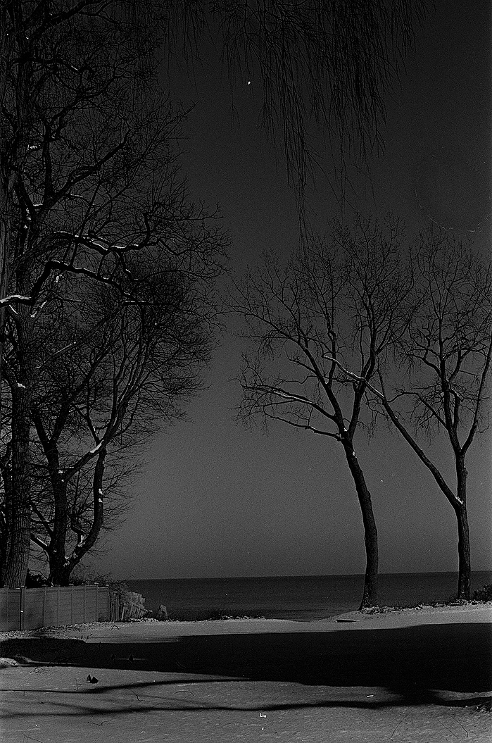 ice crystals canon black and white photography evanston illinois chicago