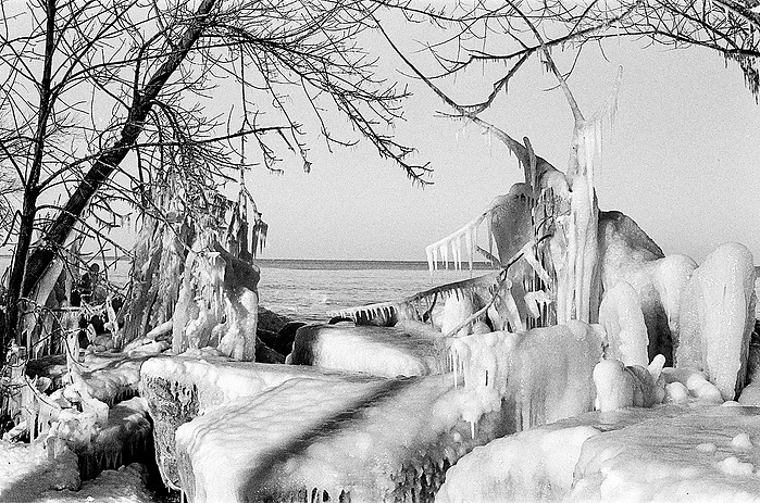 ice crystals canon black and white photography evanston illinois chicago