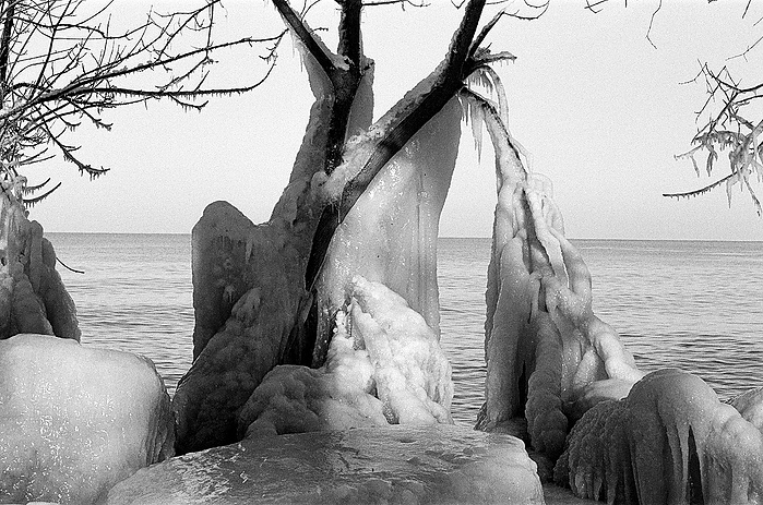 ice crystals canon black and white photography evanston illinois chicago