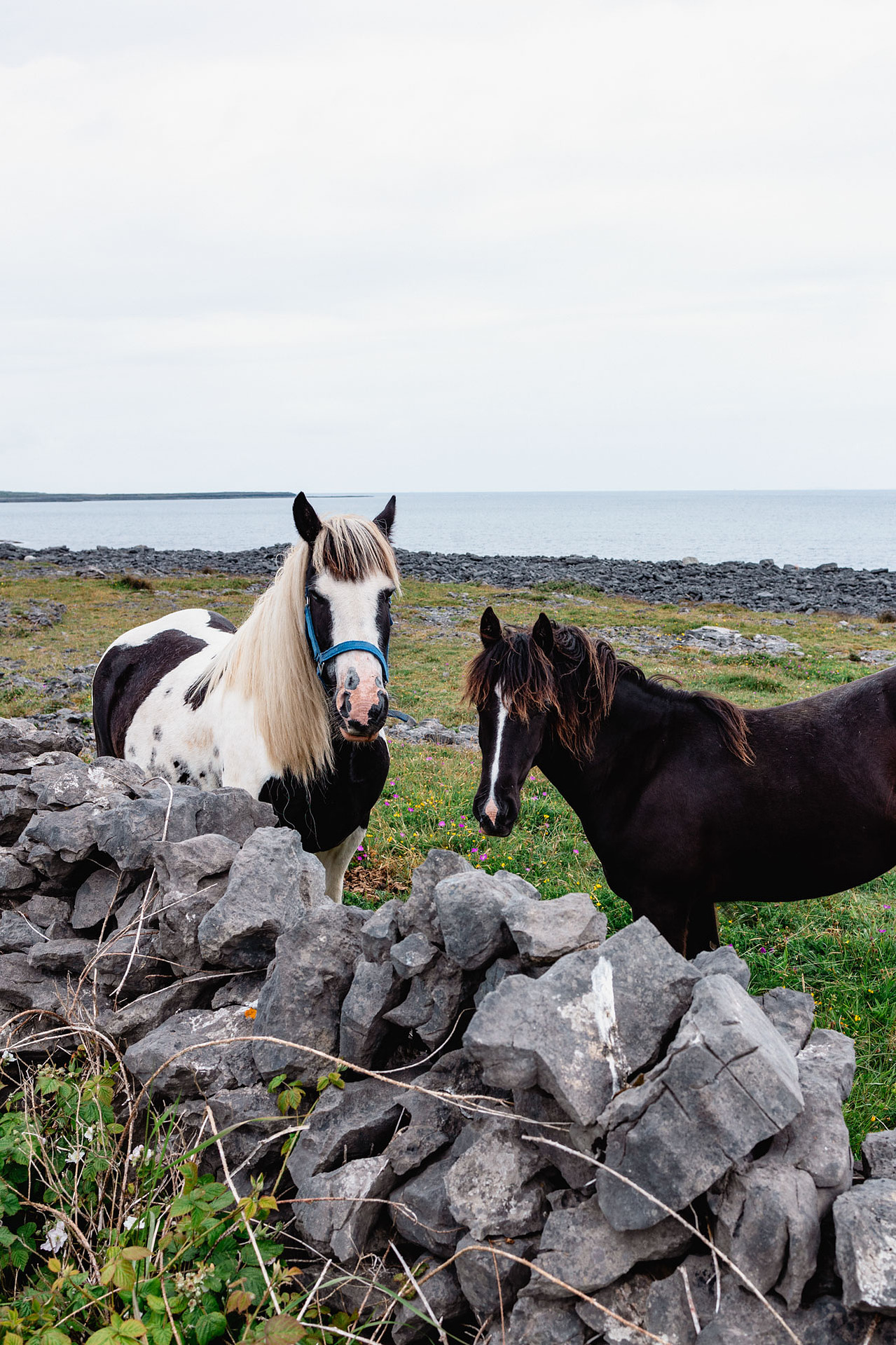 Inismor Aran Islands Ireland Travel Photography Inishmore 