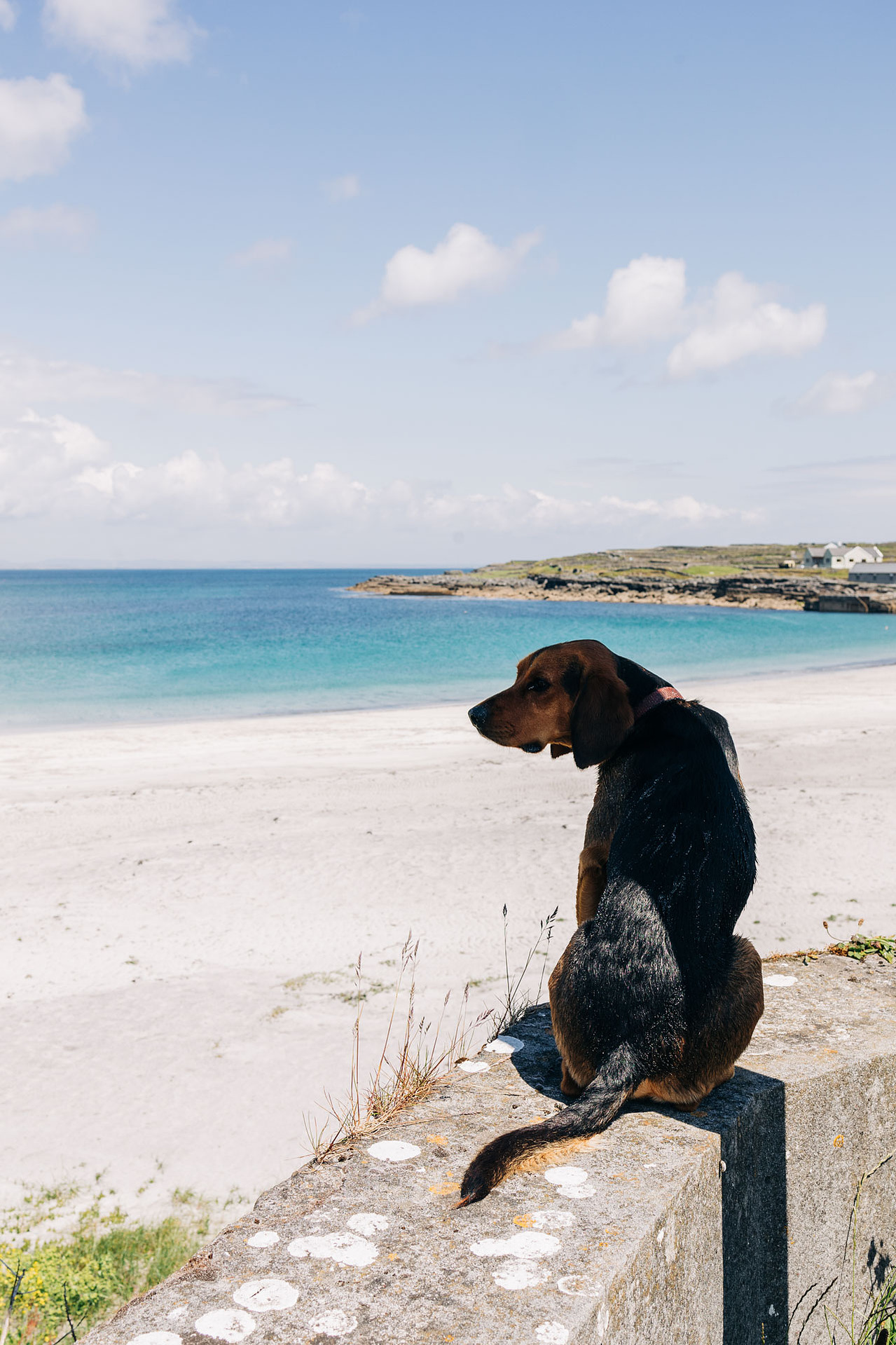 Inismor Aran Islands Ireland Travel Photography Inishmore 