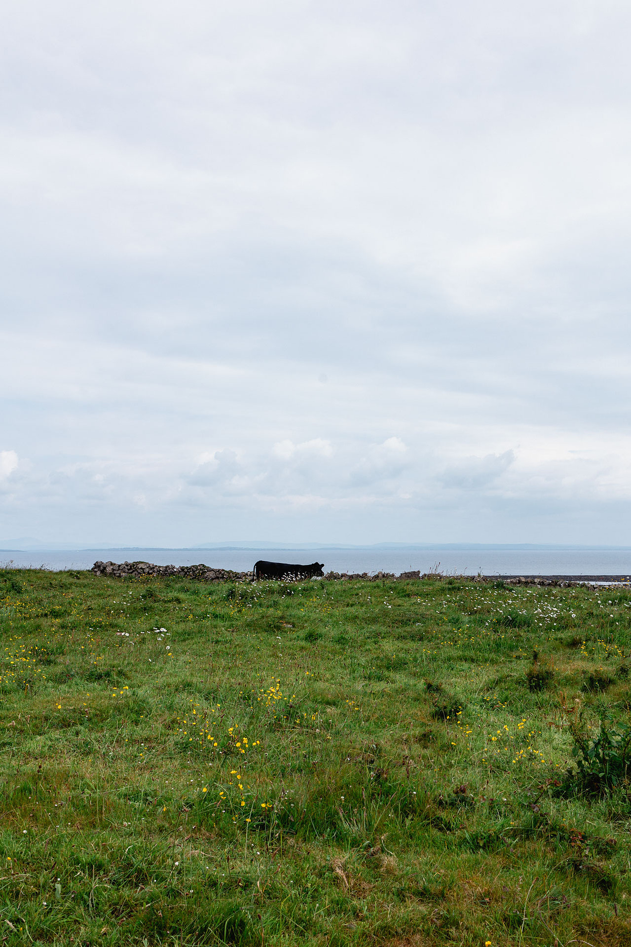 Inismor Aran Islands Ireland Travel Photography Inishmore 