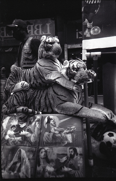 Dos tigres de peluche en una calle triste