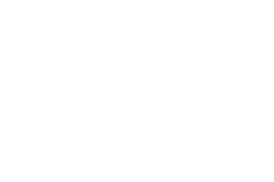 Scott Hamilton's Portfolio