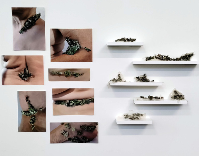 Worn installed in gallery