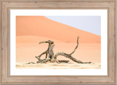 A selection of landscape photographs taken at Dead Vlei, Sossusvlei, in the Namib-Naukluft National Park, Namibia by photographer Lizane Louw