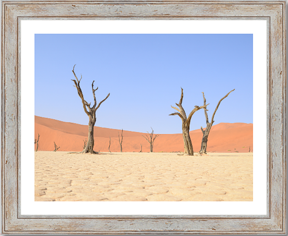 A selection of landscape photographs taken at Dead Vlei, Sossusvlei, in the Namib-Naukluft National Park, Namibia by photographer Lizane Louw