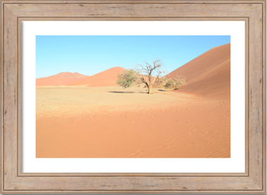 A selection of landscape photographs taken at Dead Vlei, Sossusvlei, in the Namib-Naukluft National Park, Namibia by photographer Lizane Louw