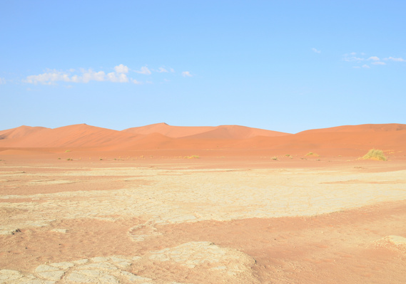 Desertscape and landscape photograph, created in the Namib desert. Deadvlei at Sossusvlei, Namibia. 