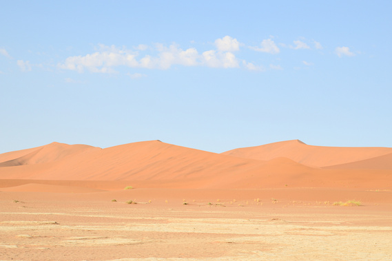 Deadvlei at Sossusvlei, Namibia. Deserts-cape. Elements of Nature Curation, Lizane Louw