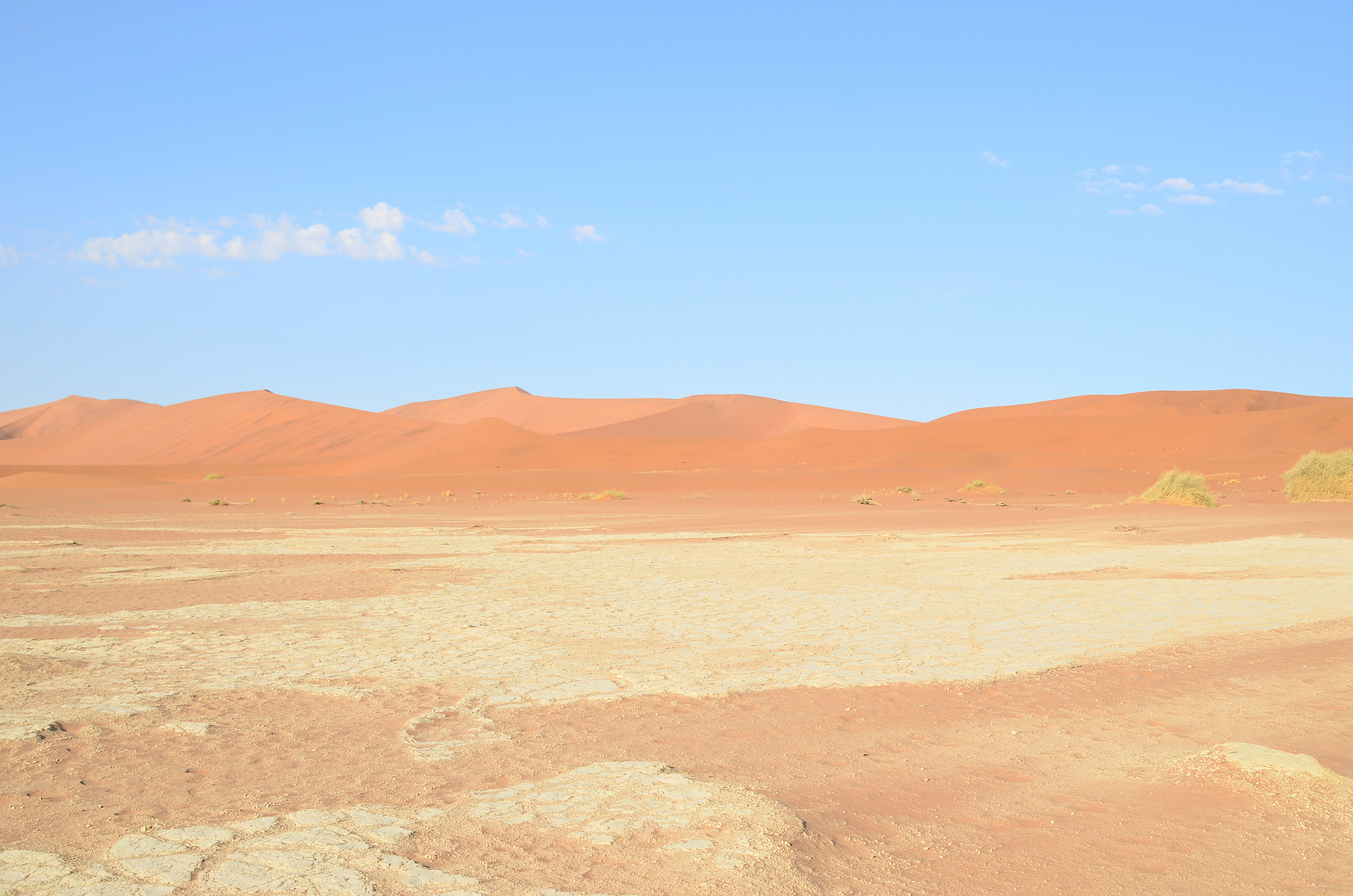 Desertscape and landscape photograph, created in the Namib desert. Deadvlei at Sossusvlei, Namibia. 