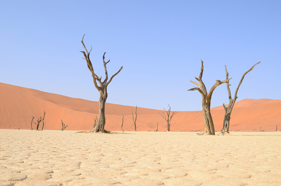 Deadvlei at Sossusvlei, Namibia. Petrified trees in the Namib Desert. Elements of Nature Curation, Lizane Louw