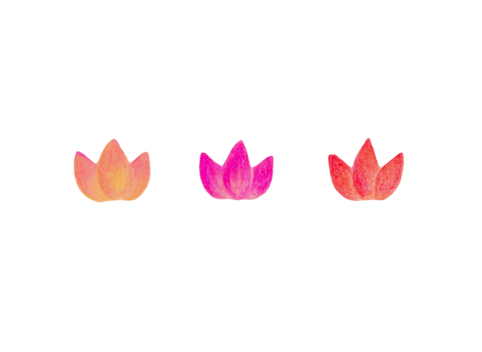 pond arts