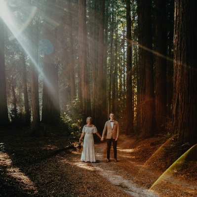 A couple holding hands under sun rays on their wedding at in Santa Cruz California in the redwood forest.