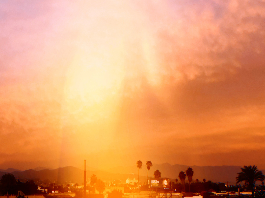 Photograph taken in Los Angeles, USA, 2019.