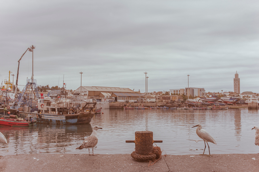 Photograph taken in Casablanca, Morocco, 2015.