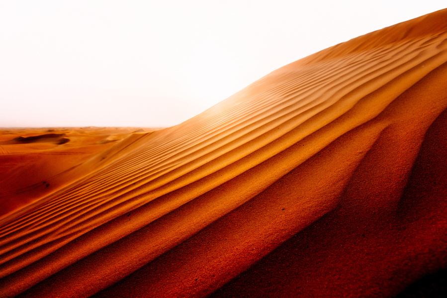 Photograph taken in Dubai, United Arab Emirates, 2021.