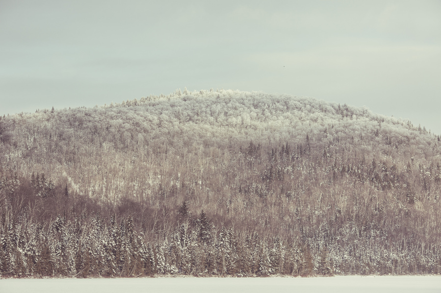 Photograph taken in Sacacomie, Quebec, 2012.