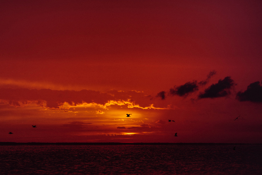 Photograph taken in Cancun, Quintana Roo, Mexico, 2019.