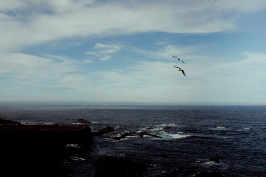 Photograph taken in Eyemouth, Scotland, 2019.