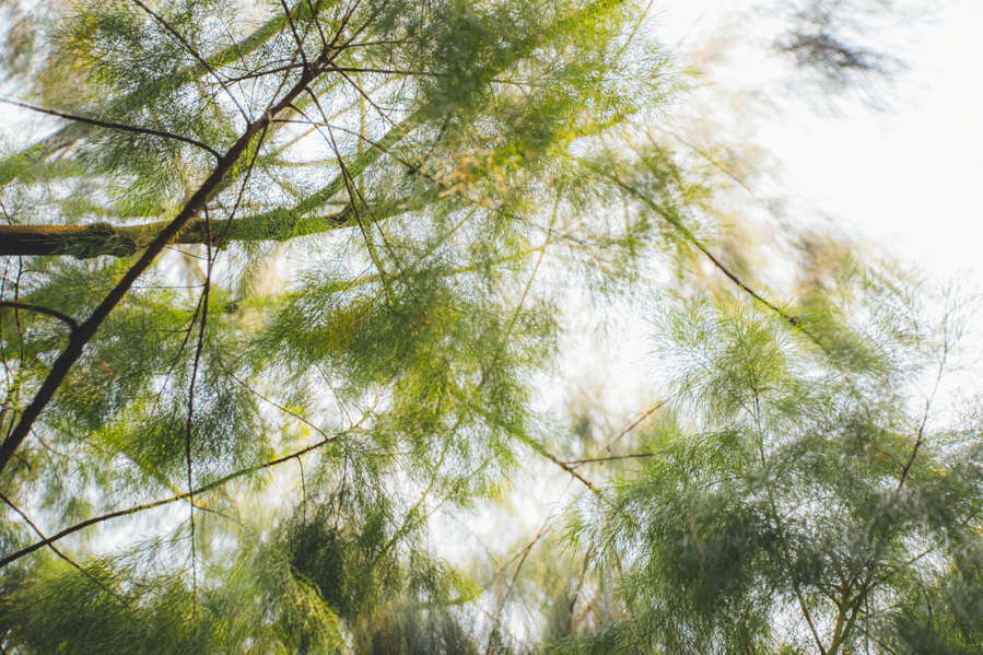 Photograph taken in Singapour, Singapore, 2015.