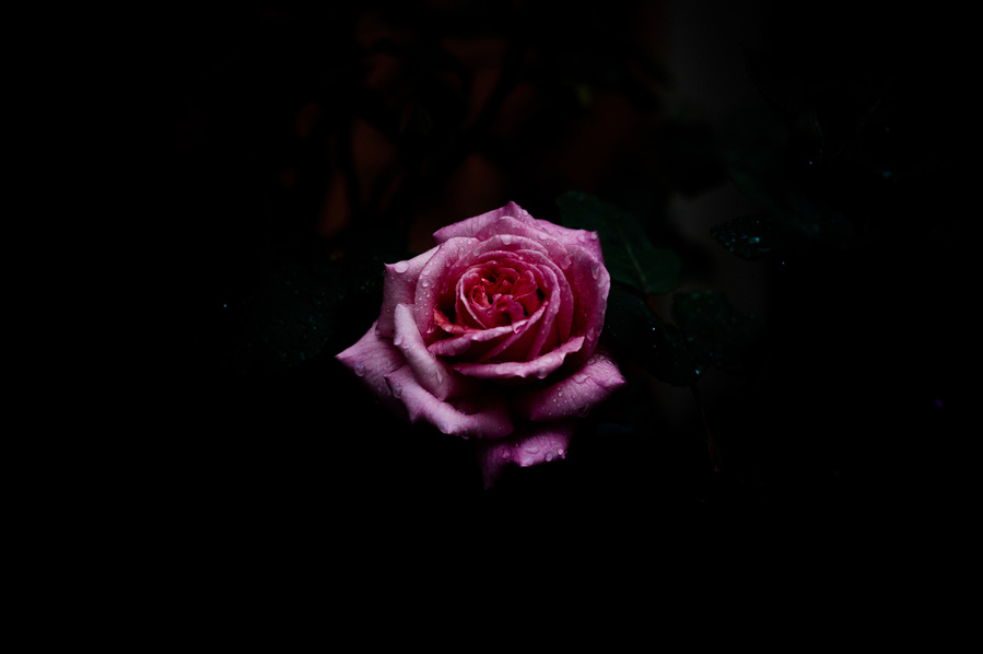 Photograph taken in Toulouse, France, 2014.