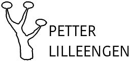 Petter Lilleengen