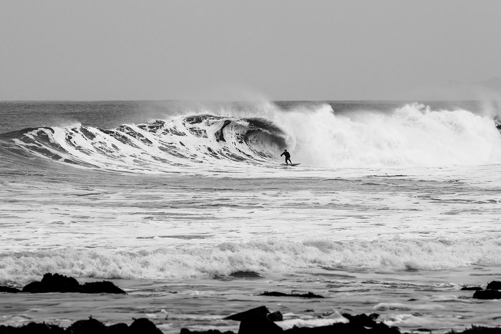 The cornish bombie hunter words photos by luke gartside